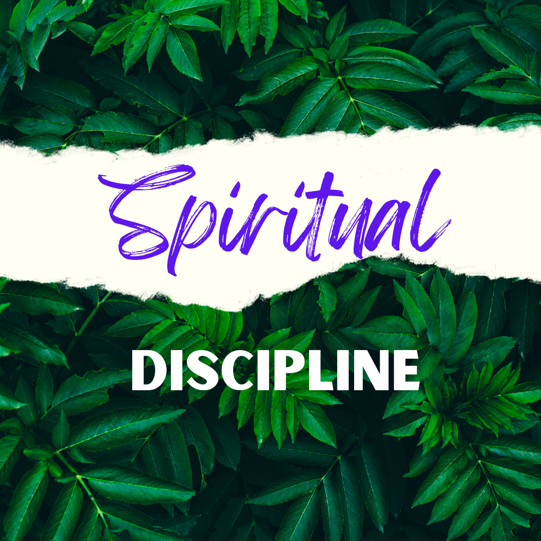 Spiritual Discipline - Moonstone Energy 